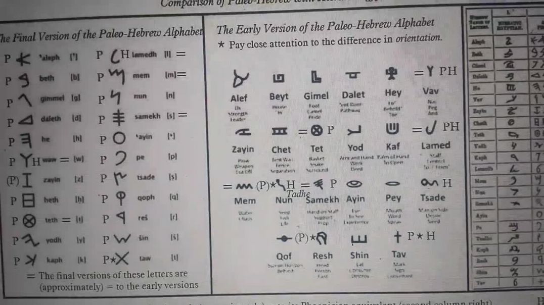 Yah children kingdom in the Americas from antiquity BC to AD Negroes Aborigines