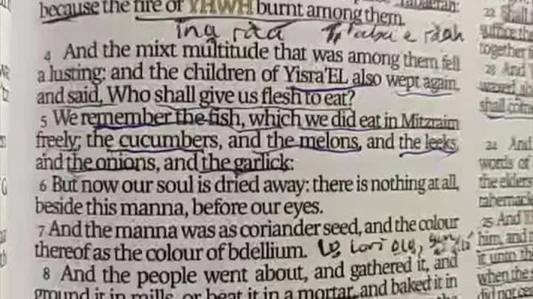 Yoruba, Question ID and who did this to us ? scripture historical and anthropological proof  output6