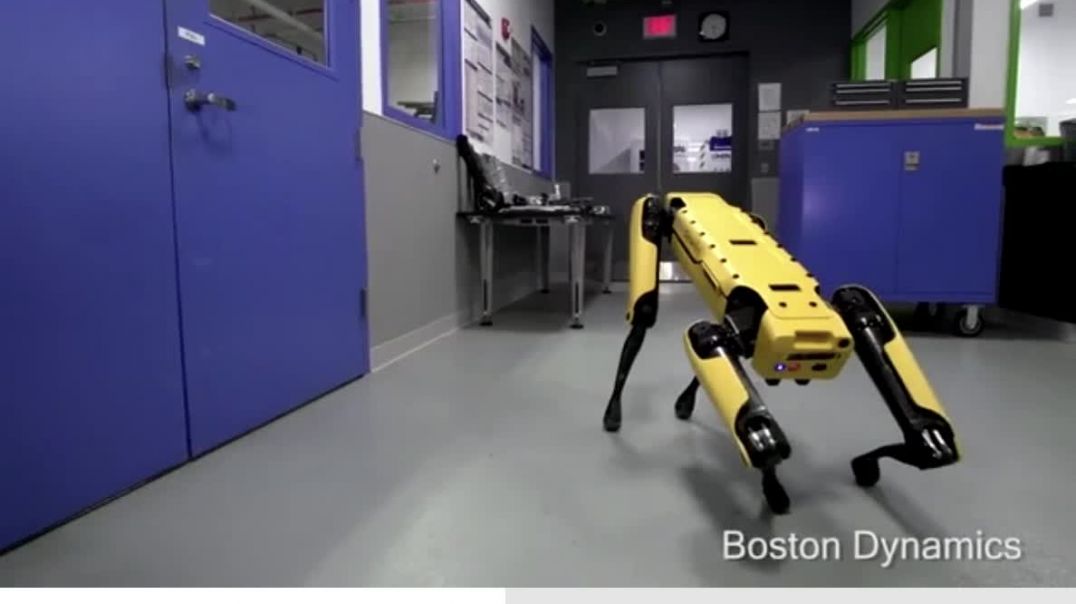 The Gentiles are in real FEAR, the robot dogs have manners!