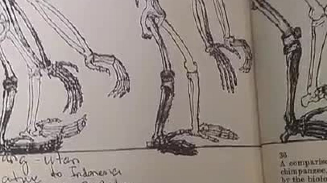Charles Darwin failed theory of Evolution. Theory of Natural Selection. Devil Science false doctrine