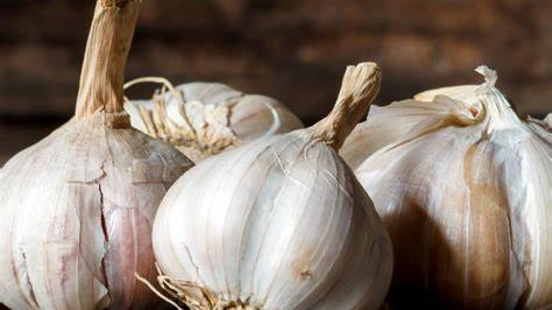 Shalom Living TidBit: Benefits of RAW GARLIC