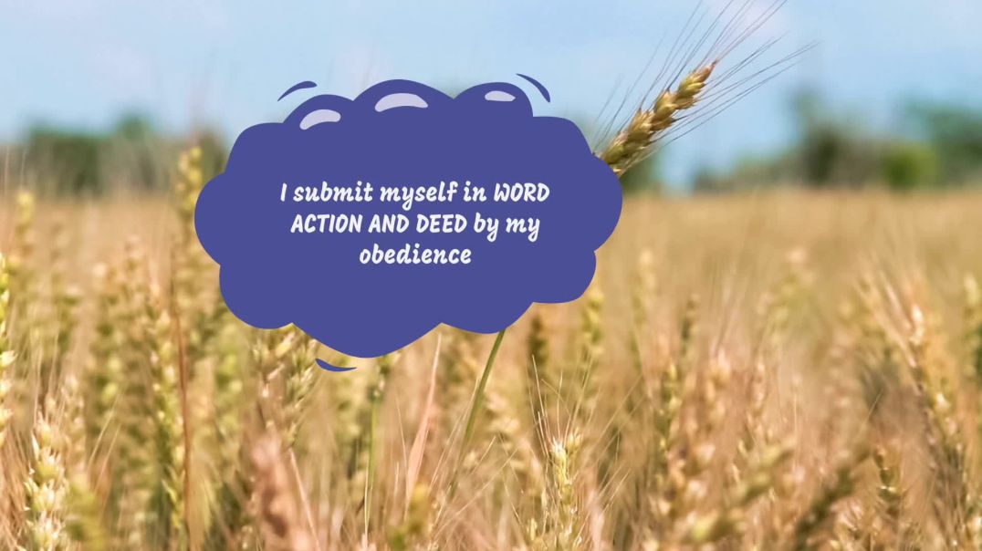 Submission Daily Affirmation