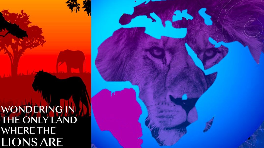 WONDERING WHERE THE LIONS ARE   NORTHERN KINGDOM OF ISRAEL