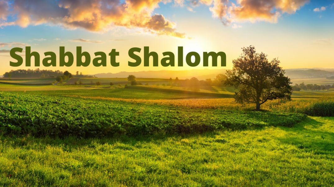 SHABBAT SNIPPET
