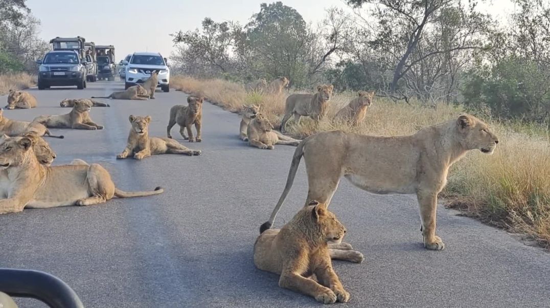 I will Set up An Ensign - Big roadblock in Africa- ASK OF ME THINGS TO COME...