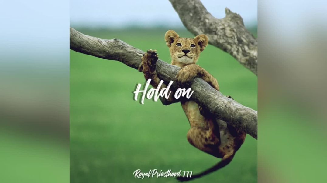 Hold on