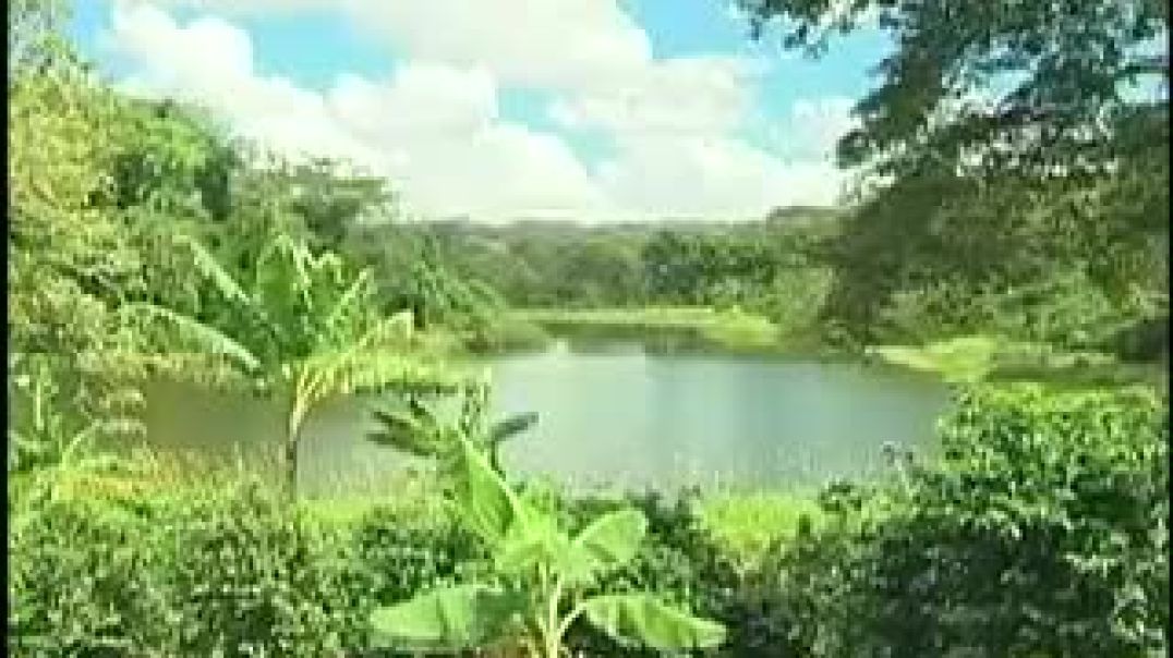 Jamaica's Influence in the Earth Peace Justice and Blessings from Eternal Father Jehovah Jah Ja