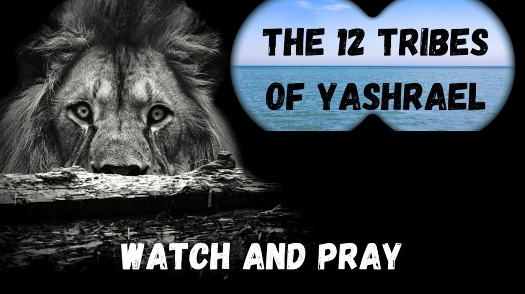 12 Tribes of Yashrael!
