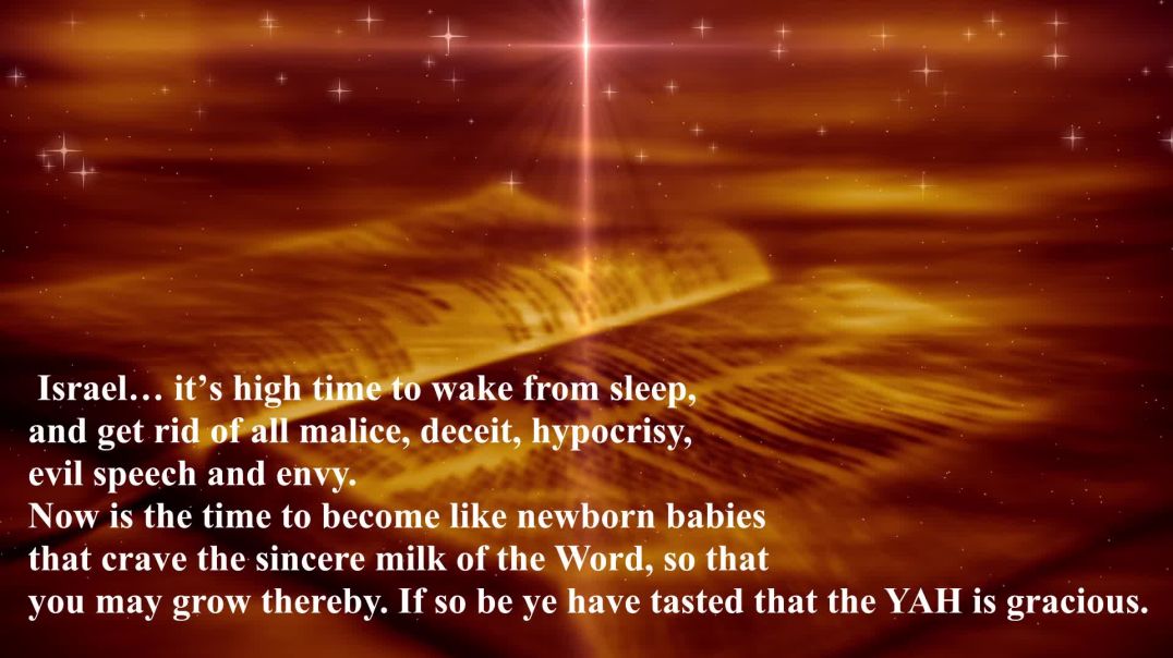 WE ARE THE CHOSEN