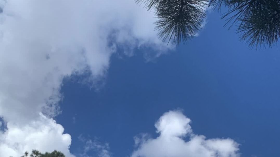 H1SNC Weekly Weather Report: Malak reports the weather for North Carolina & Japan  2/19 - 2/24/2