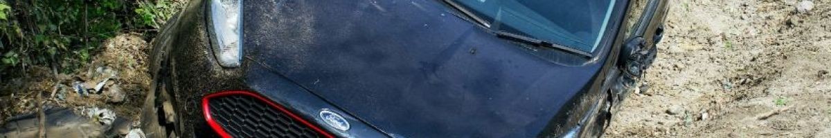 Larson Griffee Pickett 