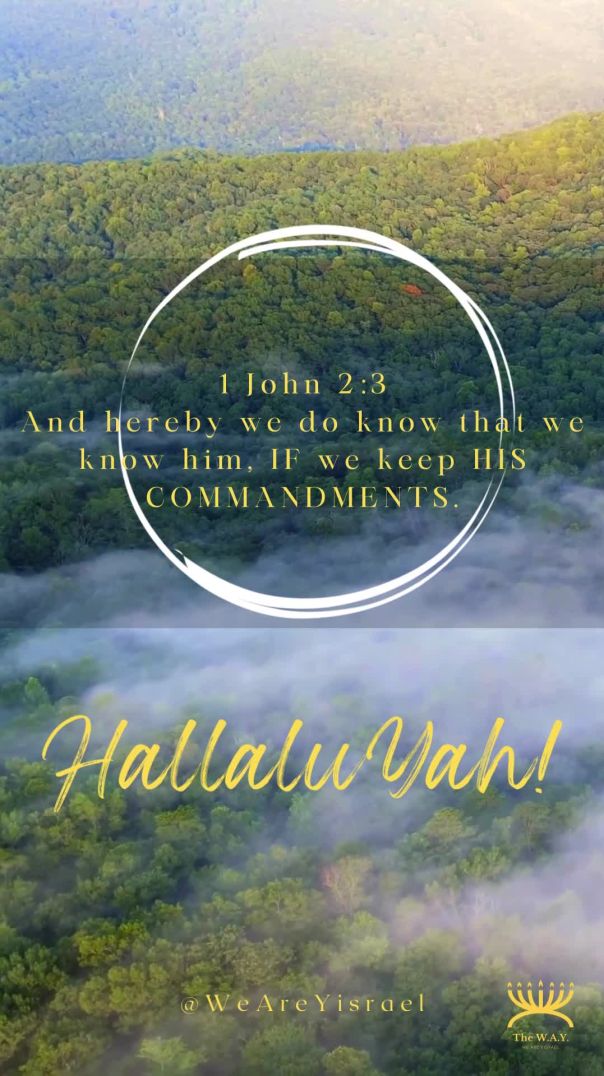 Shabbath Shalom - 3