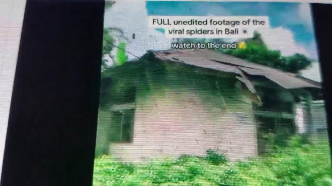 Indonesia Bali Spider plague Muslim,nations,crumbling.  Disasters, Earthquakes, Pestilence, Sin Tour