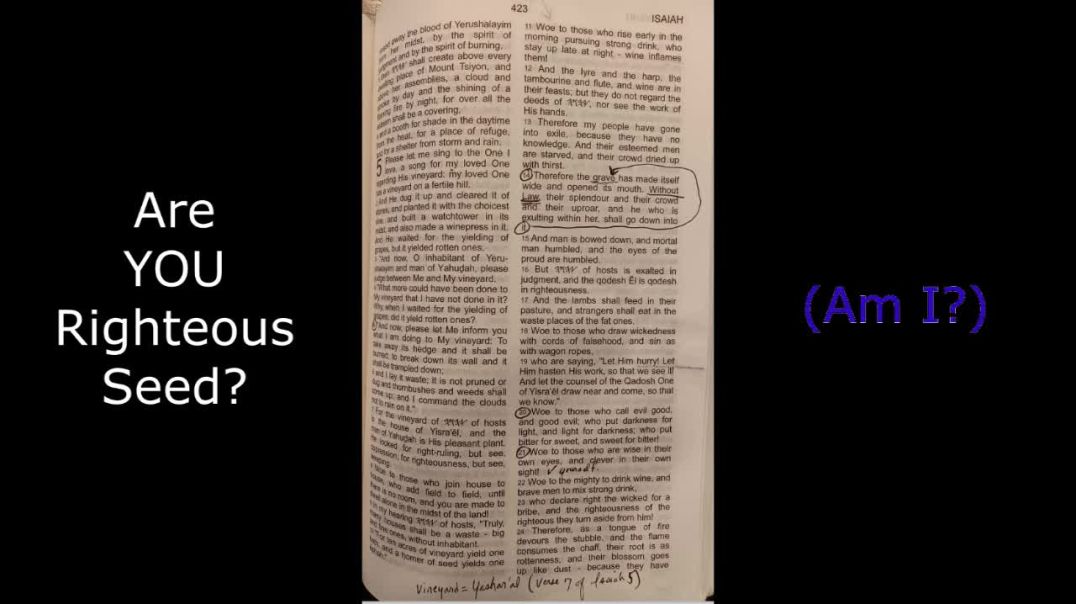 Are YOU Righteous Seed? (Am I?)