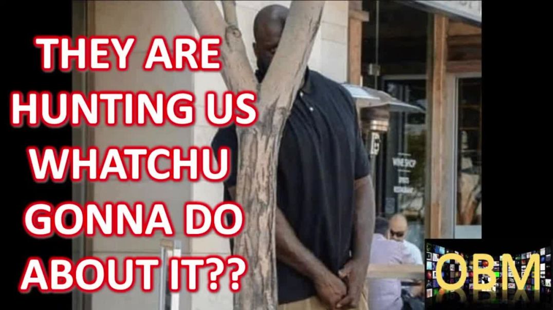 One Brotha's Mind - Are Black People Being Hunted? Whatchu Gonna Do?