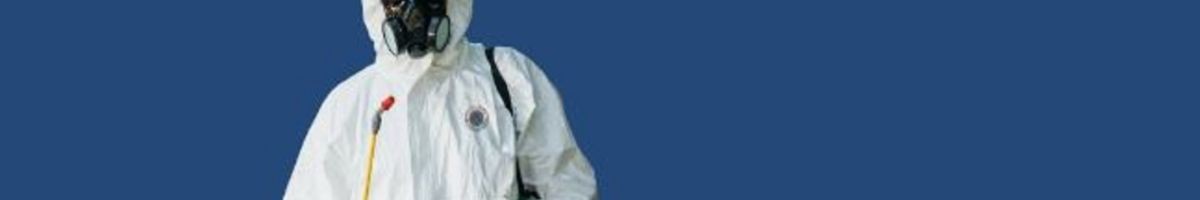 Bed Bug Texas Termite & Pest Control 