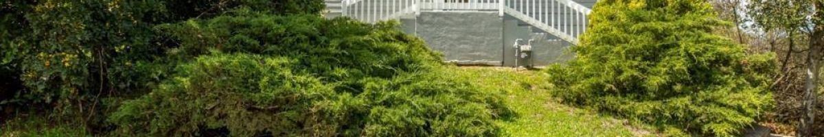 Timothy Riley - Real Estate Broker 