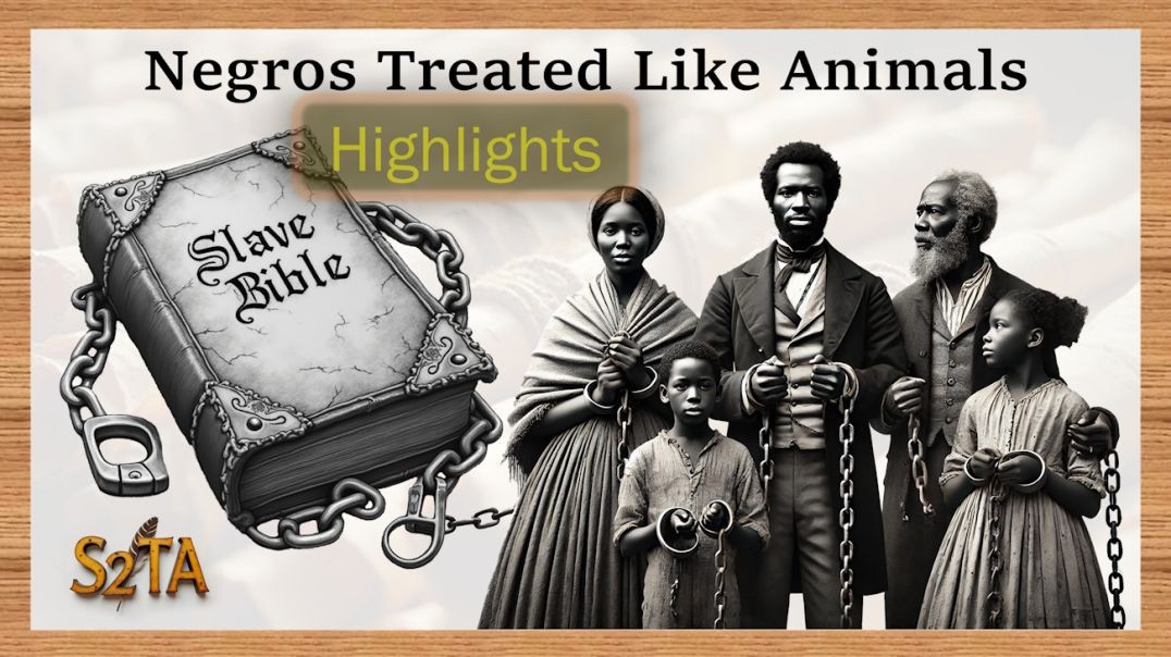 Negro Slave Bible - Negros Are NOT Animals - H5