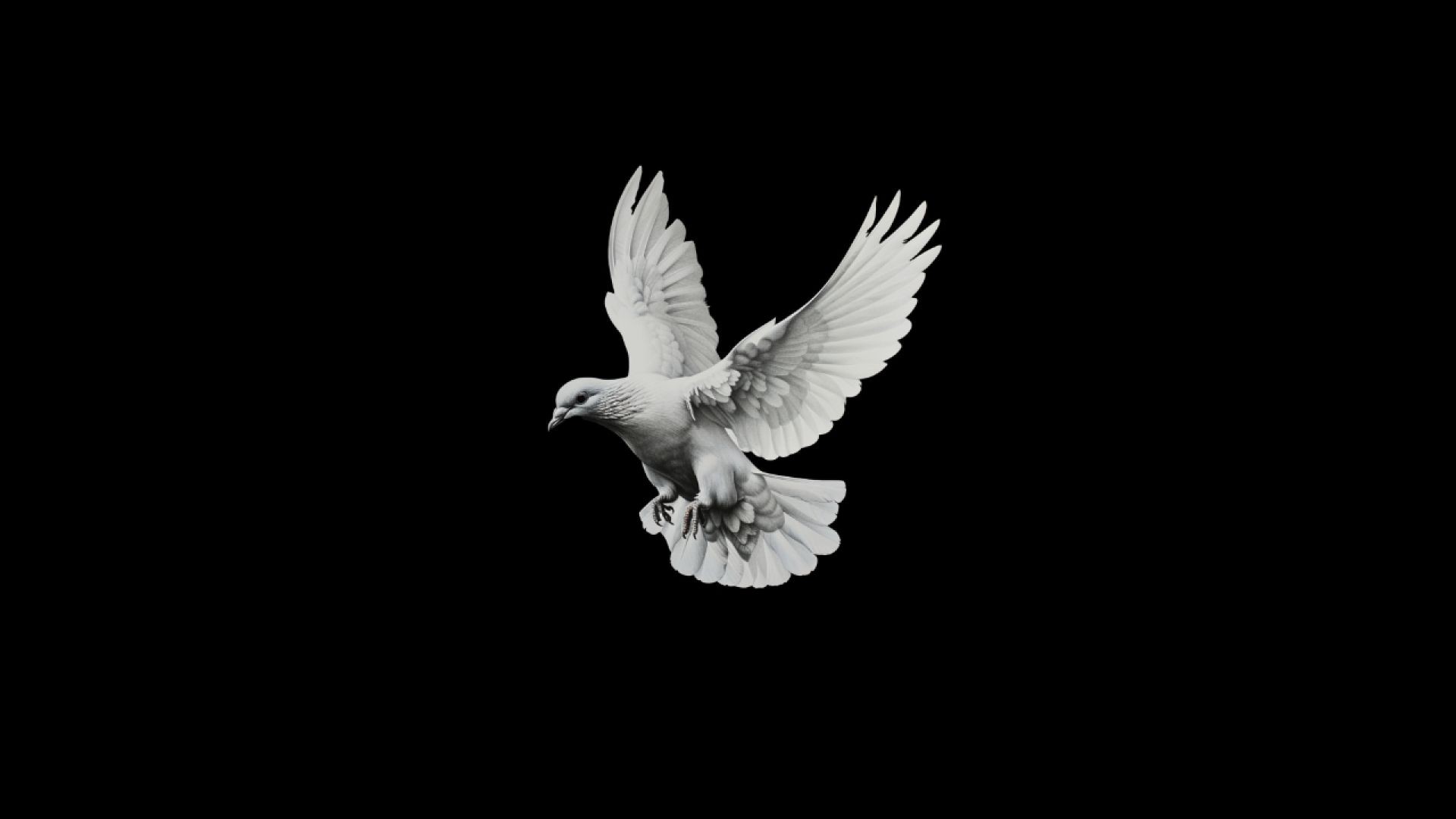 Born From Above