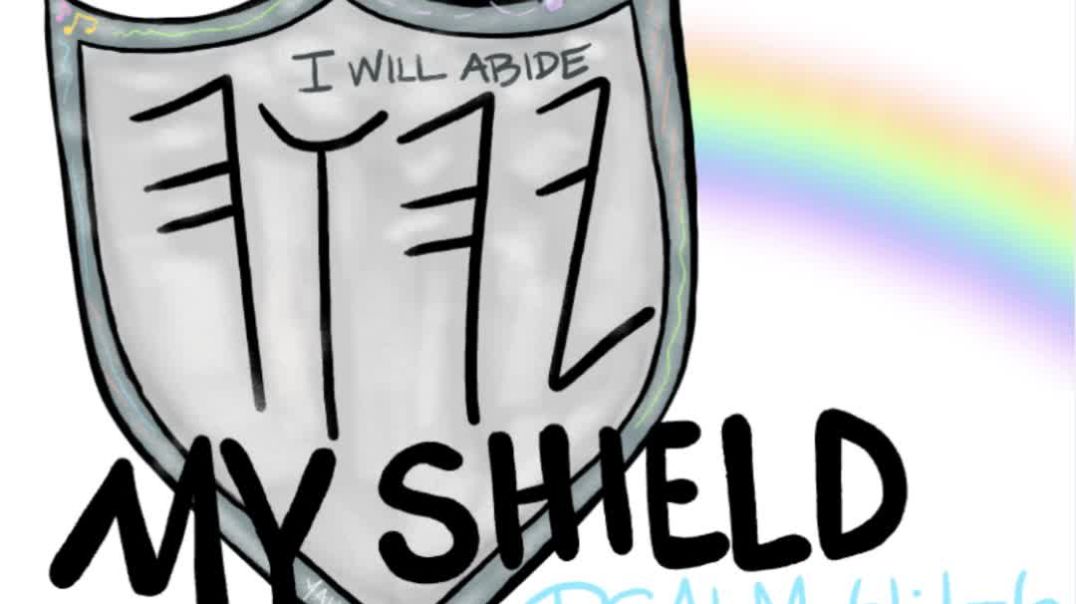 MY SHIELD