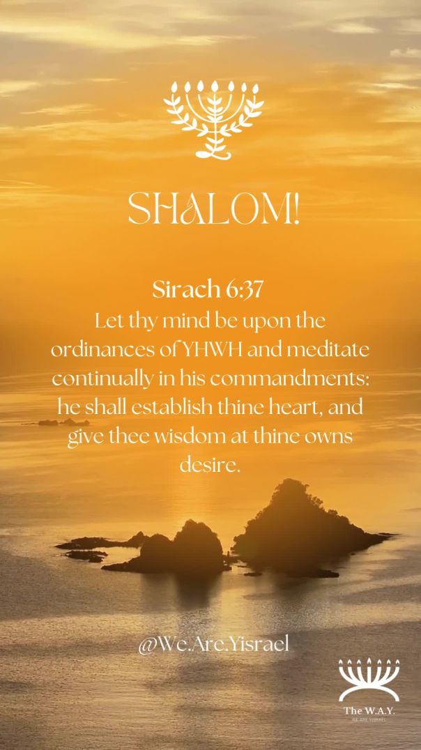 Sirach 6:37 and Joshua 1:8