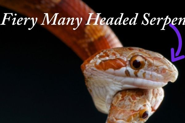 We Must Deal With Our Sin: The Pope Can't Help With That!