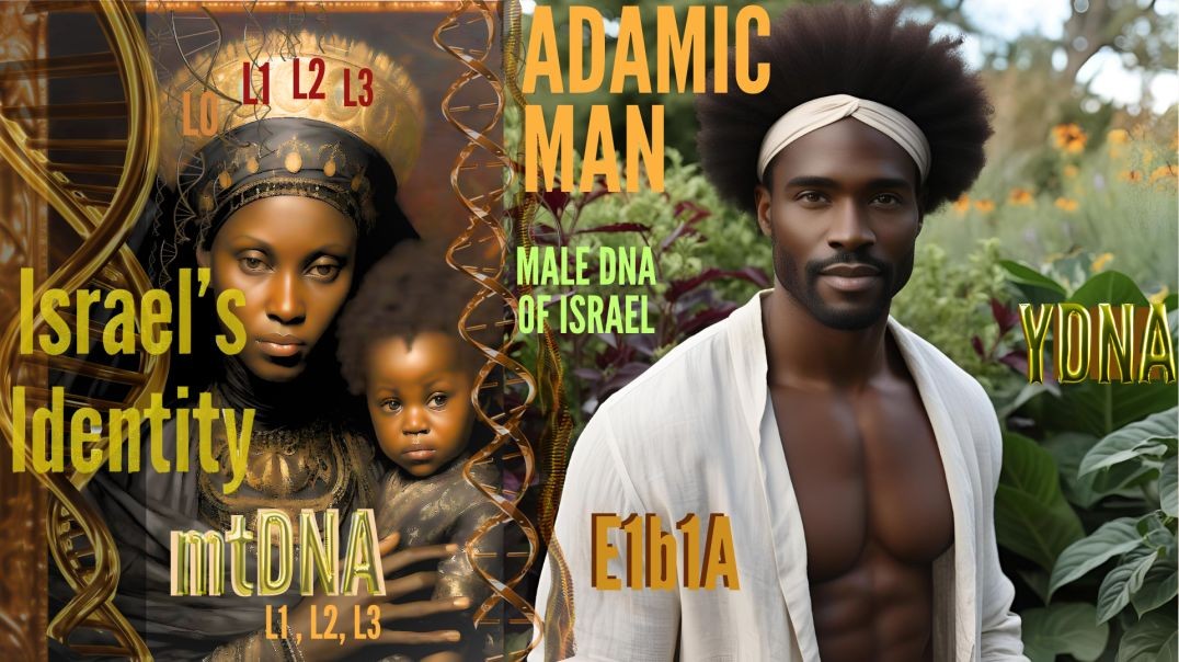 ISRAELITE DNA OF MALES PT 1
