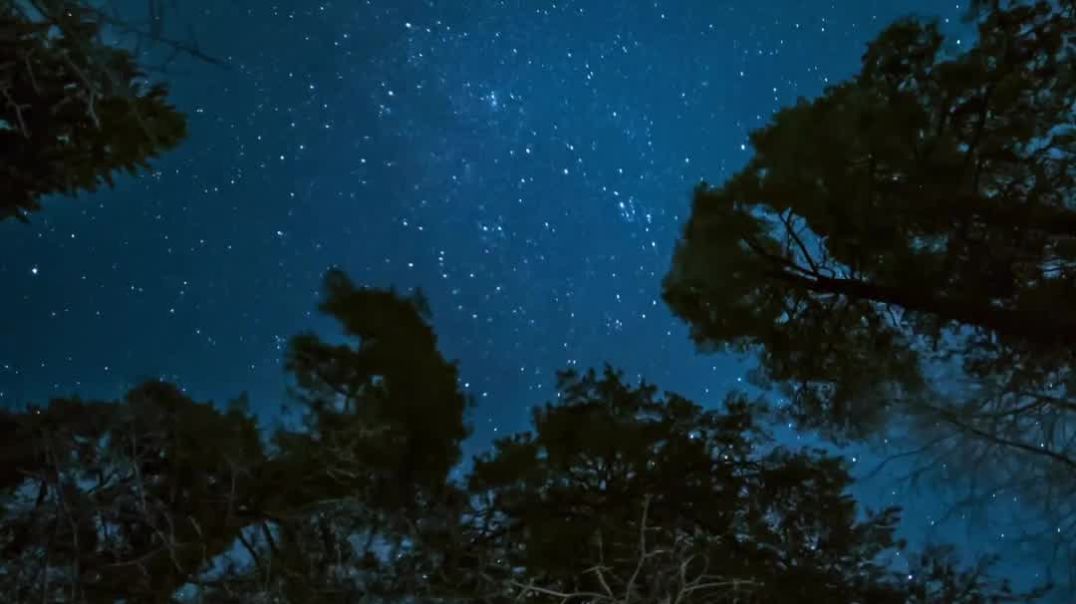 Blue and Green Digital Quote Personal TikTok Video