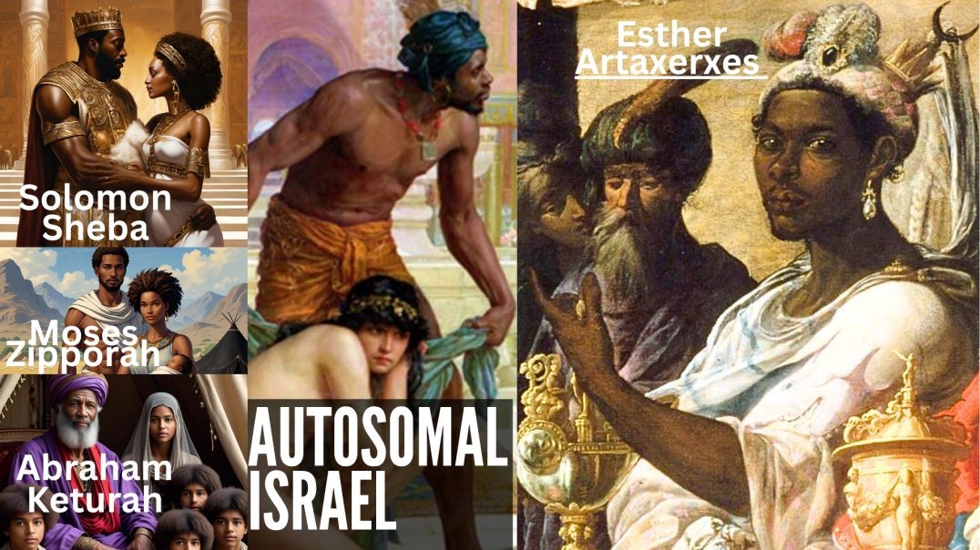 AUTOSOMAL DNA OF GRAFTED IN ISRAEL PRIEST FOREVER PT