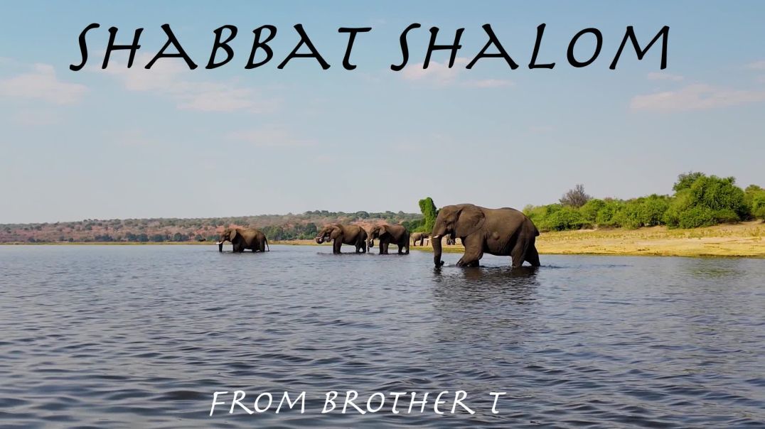 Shabbat Shalom