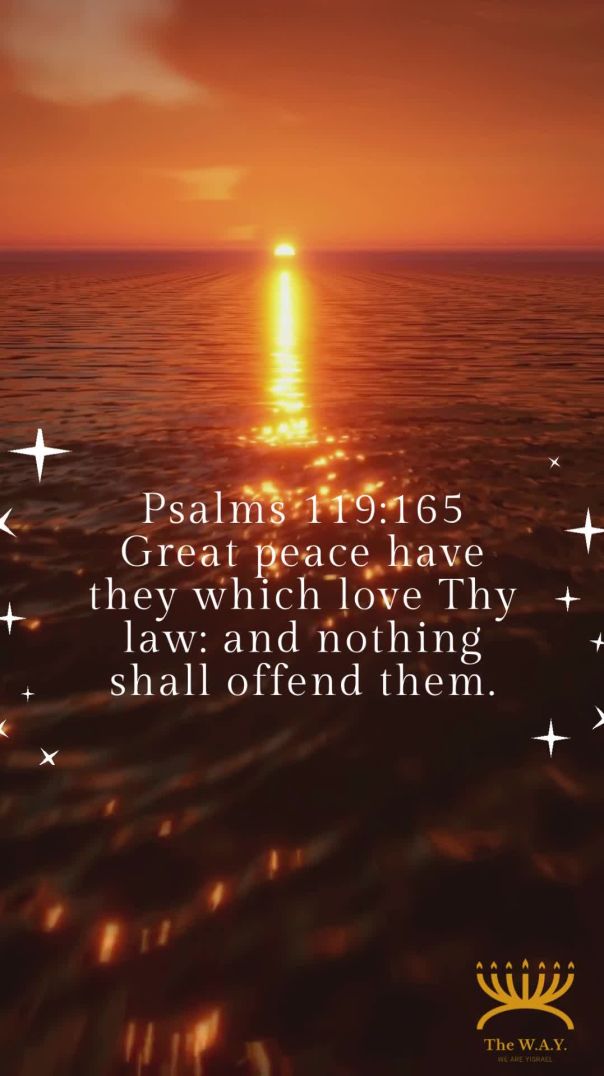 His Love - Our Peace