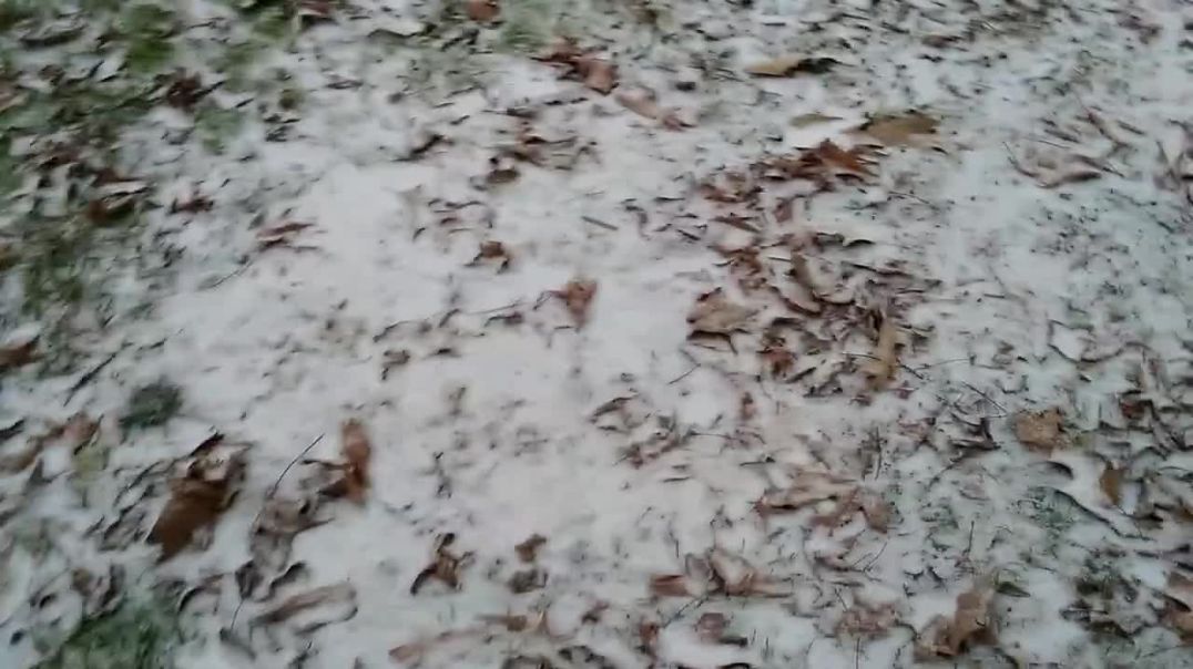 Snow! No Sah! Climate Change in my backyard! Jus joking, seasons, empires, times change 7year food