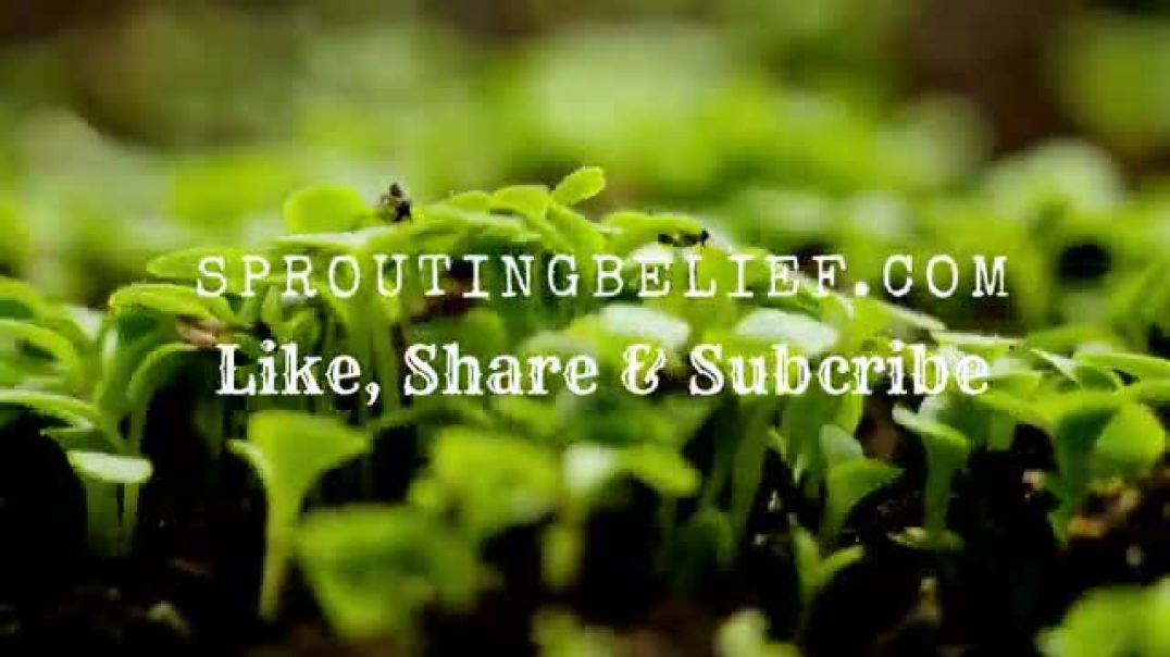 Sprouting Beliefs intro