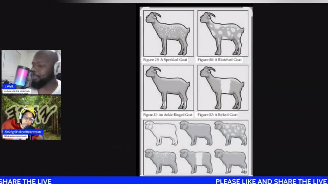 The Chosen Imperfect Sheep