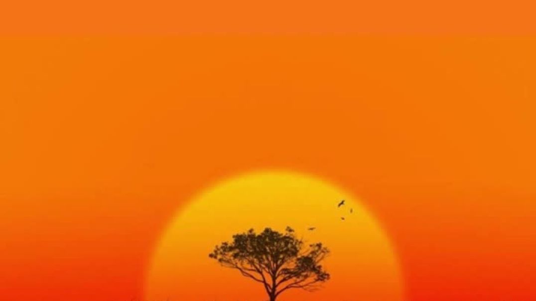 He Is Yahuah Sharman C (Prod SFR Beats)