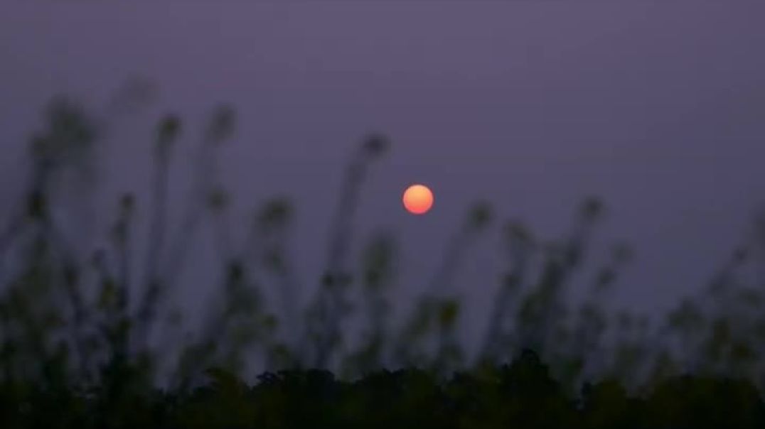 Easy on me Lyric video by Baruk AhaYah (Larrybeats1999) ©2024