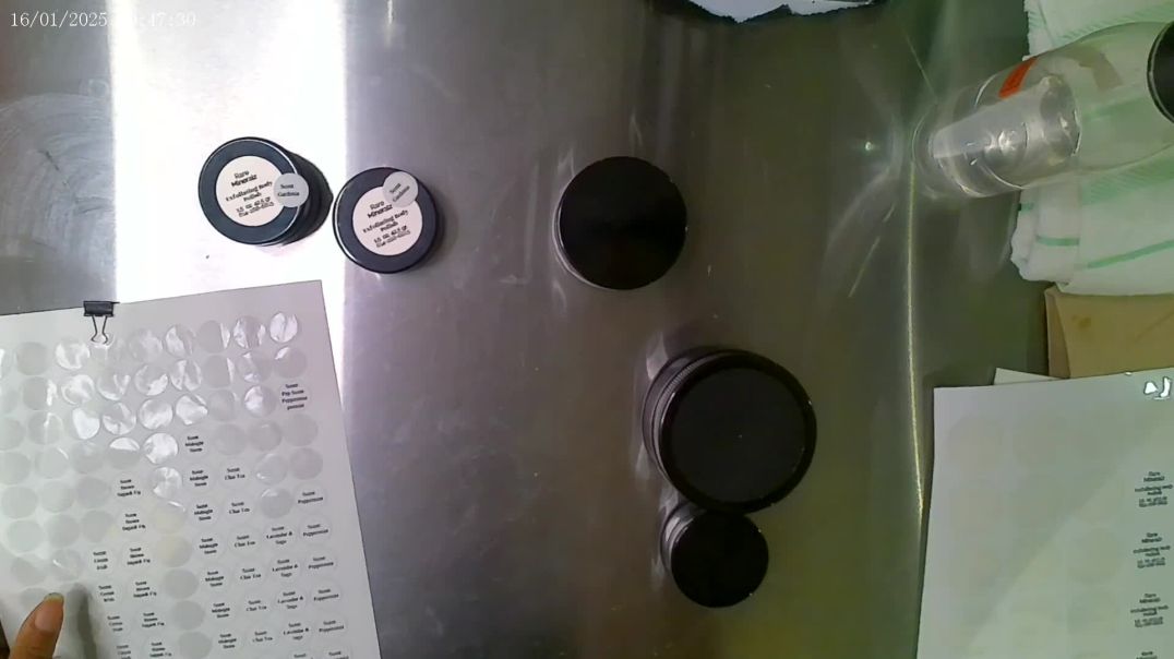 Gardenia Emulsified Sugar Scrub