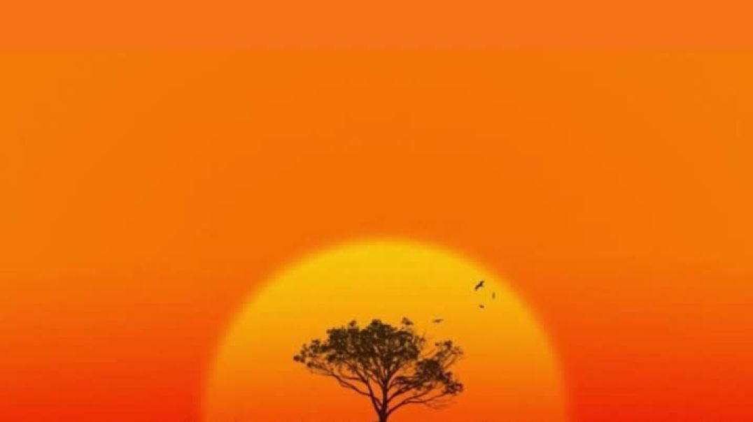 Never Give Up ft AaliYah Taavi x Baruk AhaYah (Prod SFRbeats)