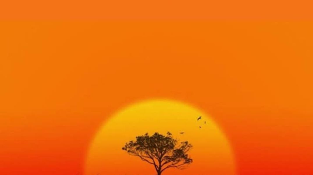 Please Forgive Me ft LydYah El'Natan (Prod SFRbeats)