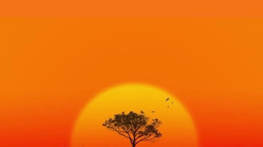 He's Coming Back Soon ft Jaamel The TrunkRattler (Prod SFRbeats)