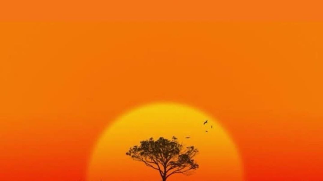 Tree’s Of His Garden ft BIG HOMIE YURP (Prod SFRbeats)