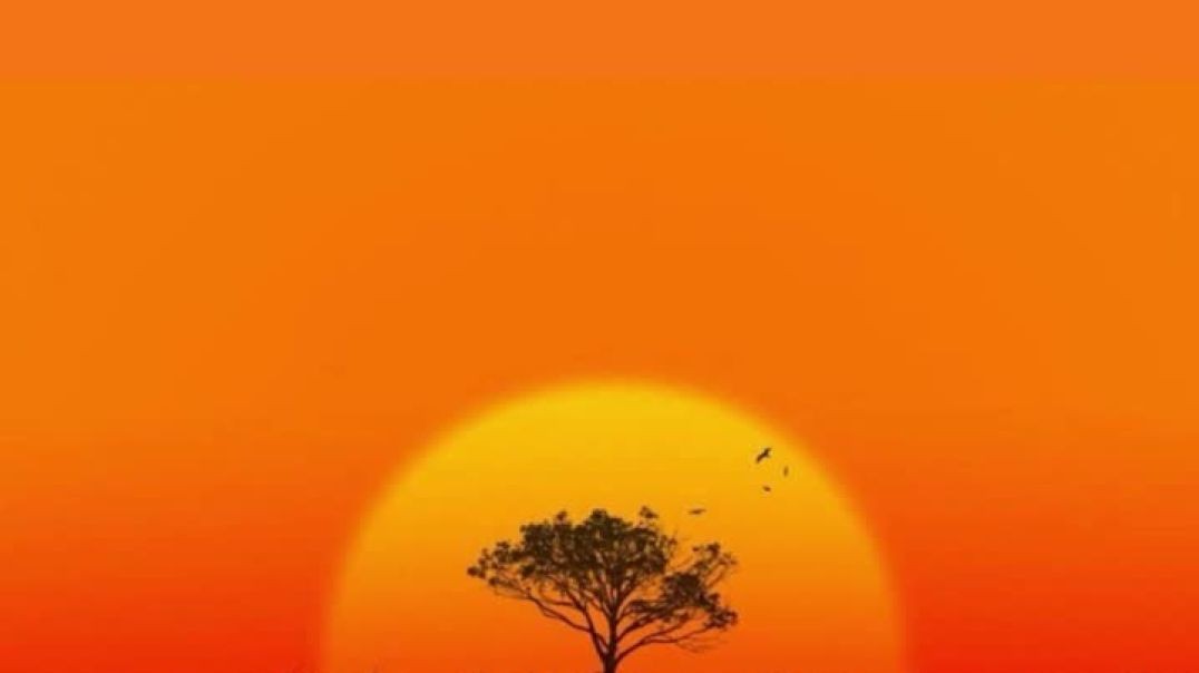 He’s Coming Back Soon ft Jaamel The TrunkRattler (Prod SFRbeats)