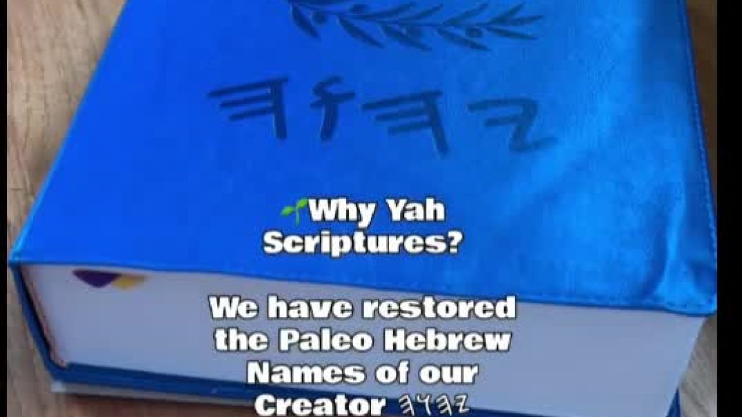 Yah's Word Restored FACEBOOK Reel - Big Blue