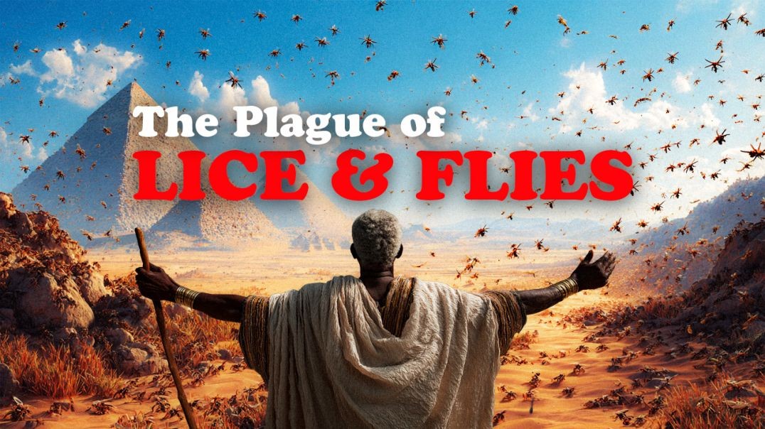 The Real Reason God Sent Swarms of Flies