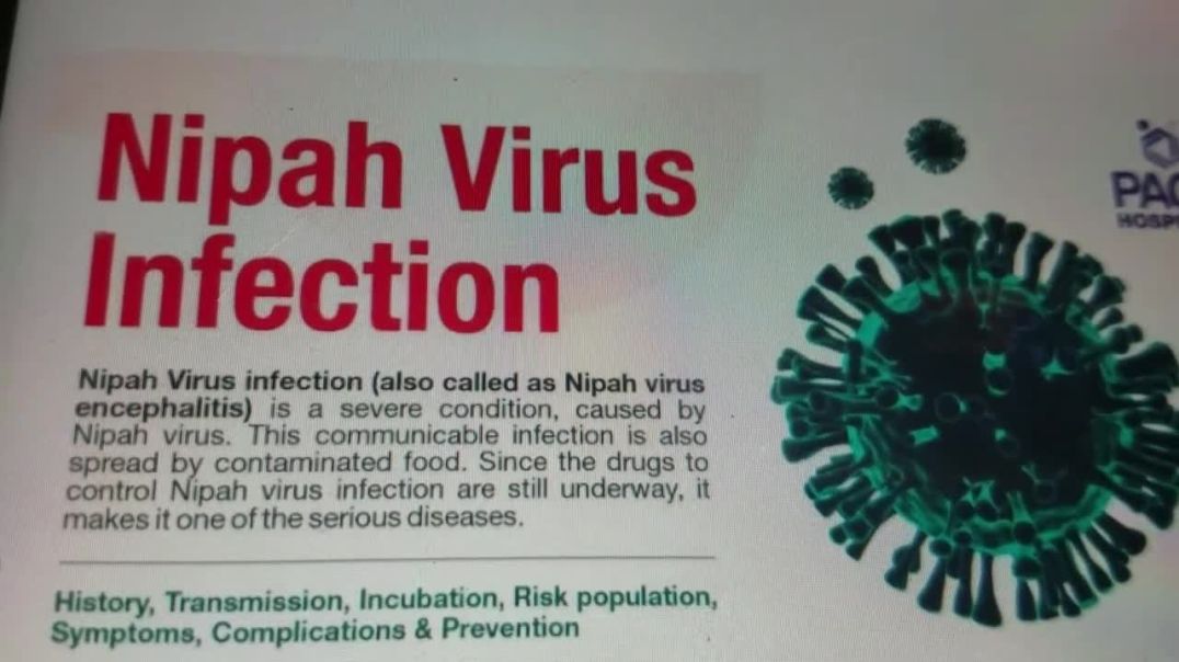 Zoonatic diseases infections flu season Nipah pandemic antimicrobial detox effective nature