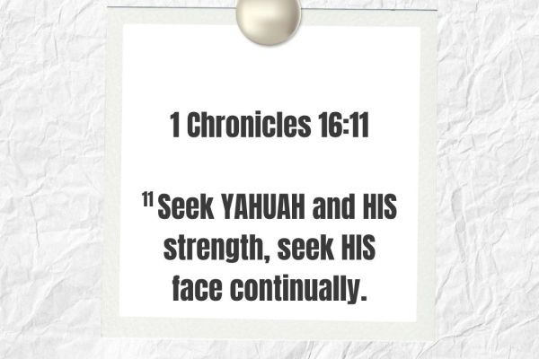 MAY OUR SHABBAT BE SHALOM AS WE CONTINUE TO PRAISE AND SEEK YAHUAH AND HIS STRENGTH IN THESE END TIMES????? <br>https://majxsty.com/2026/04/24/may-our-shabbat-be-shalom-as-we-continue-to-pra..