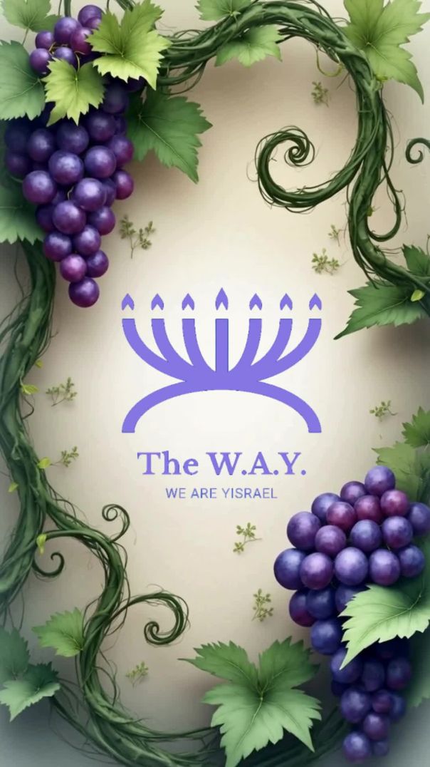 The Vine and the Branches