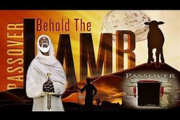 Behold The Lamb <br>https://majxsty.com/2020/04/18/behold-the-lamb/ <br>Repost From April 18, 2020 <br>Much Love Majxsty