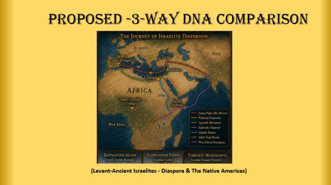 Proposed -3-Way DNA Comparison-Video
