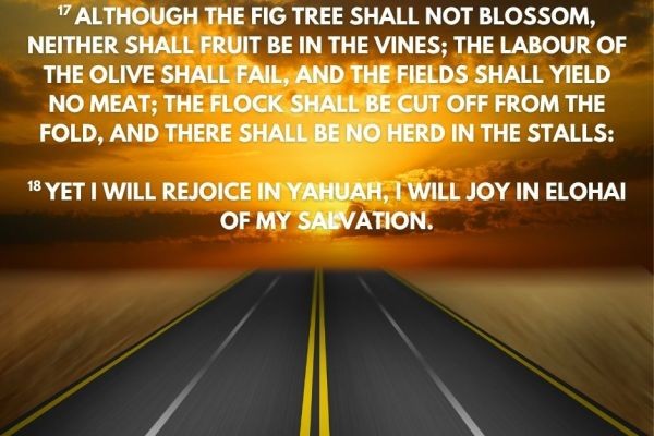 I WILL REJOICE IN YAHUAH! I WILL JOY IN ELOHAI AS I PRAISE YAH THIS SHABBAT!????? <br>https://majxsty.com/2026/06/12/i-will-rejoice-in-yahuah-i-will-joy-in-elohai-as-i-praise-yah-this-shabba..